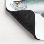 Tarpon Mousepad (Ecke)