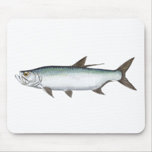 Tarpon Mousepad