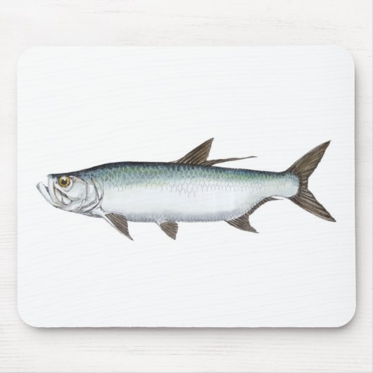 Tarpon Mousepad (Vorne)