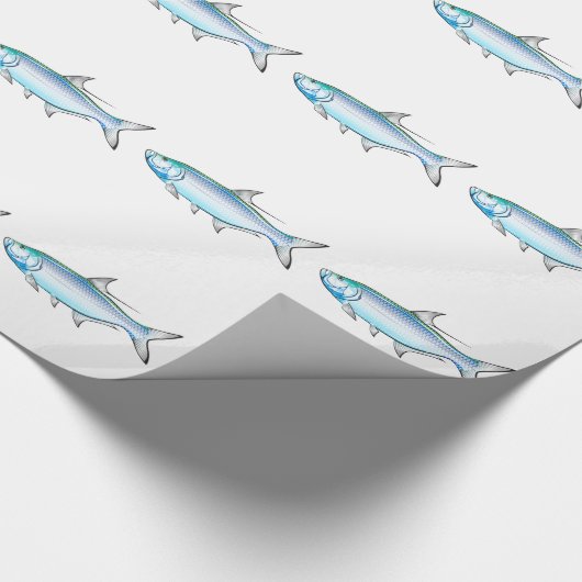 Tarpon-Ozeangamefish-Illustrationsvektor Geschenkpapier (Ecke)