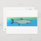 Tarpon Postkarte (Vorne/Hinten)