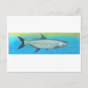Tarpon Postkarte