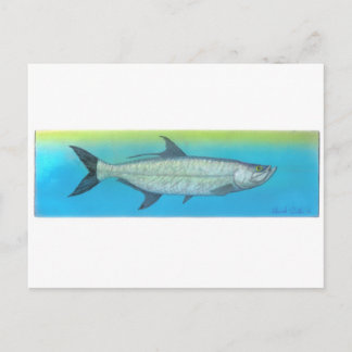 Tarpon Postkarte