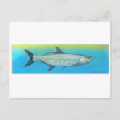 Tarpon Postkarte (Vorderseite)