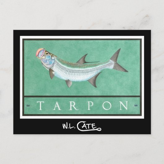 Tarpon Postkarten (Vorderseite)