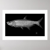 Tarpon Scratch art Poster (Vorne)
