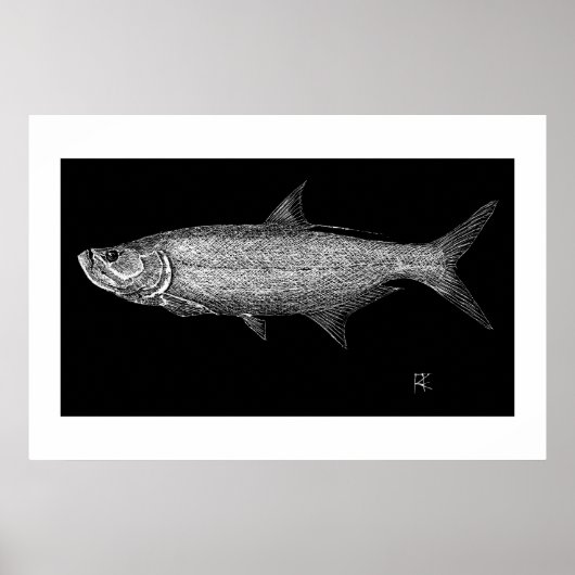 Tarpon Scratch art Poster (Vorne)