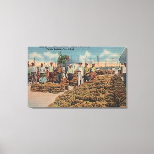 Tarpon Springs, FL - Szene des Schwammaustauschs Leinwanddruck (Vorderseite)