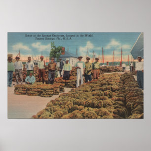 Tarpon Springs, FL - Szene des Schwammaustauschs Poster