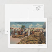 Tarpon Springs, FL - Szene des Schwammaustauschs Postkarte (Vorne/Hinten)