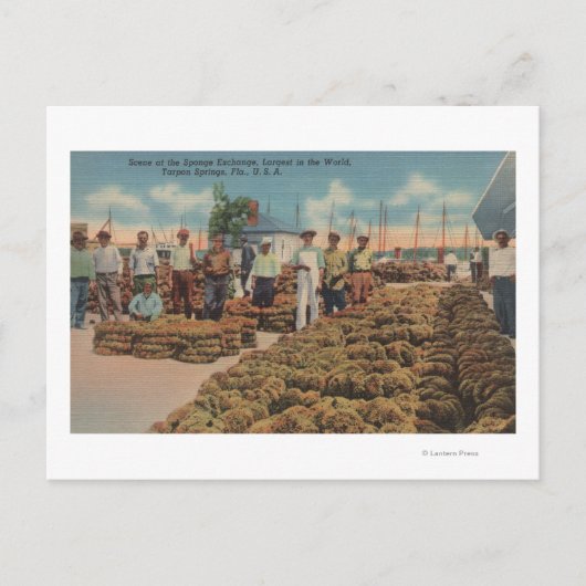 Tarpon Springs, FL - Szene des Schwammaustauschs Postkarte (Vorderseite)