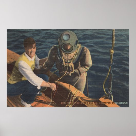 Tarpon Springs, FL - View of Diver Ascending Boa Poster (Vorne)