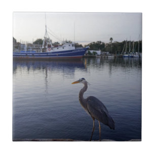 Tarpon Springs Fliese