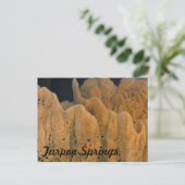Tarpon Springs Sponge Postkarte (Stehend Vorderseite)
