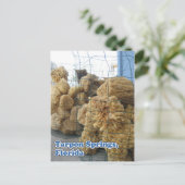 Tarpon Springs Sponges Postkarte (Stehend Vorderseite)