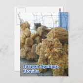 Tarpon Springs Sponges Postkarte (Vorne/Hinten)
