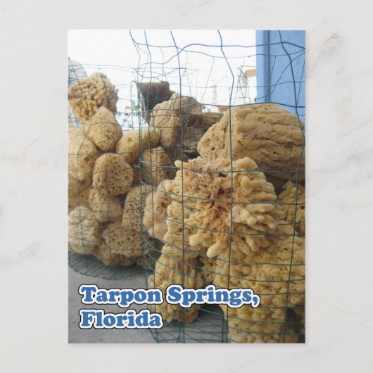 Tarpon Springs Sponges Postkarte (Vorderseite)