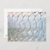 Tarpon von PatternWear© Postkarte (Vorne/Hinten)