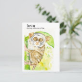 Tarsier- DNM-Postkarten Postkarte (Stehend Vorderseite)