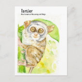 Tarsier- DNM-Postkarten Postkarte (Vorderseite)