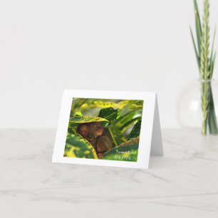 Tarsier in Bohol Note Card Karte
