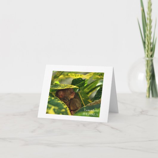 Tarsier in Bohol Note Card Karte (Vorderseite)