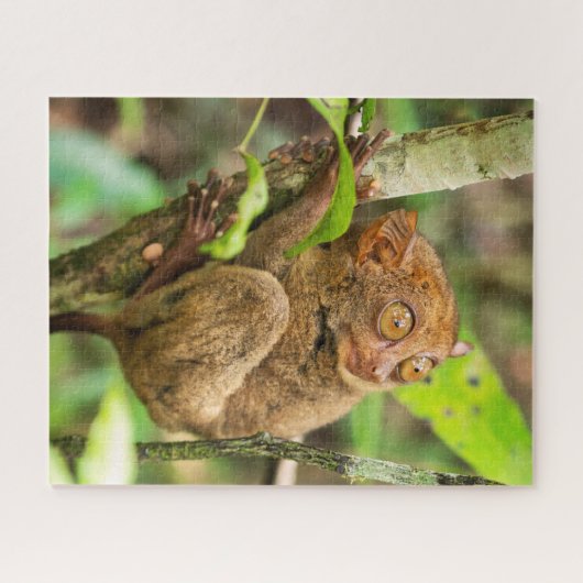 Tarsier Monkey Wildlife Puzzle (Horizontal)