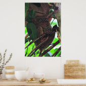 Tarsier Poster (Küche)