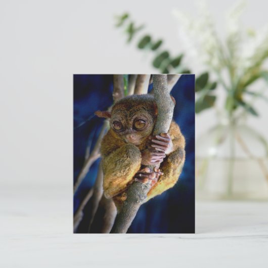 Tarsier Postkarte (Stehend Vorderseite)