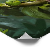 Tarsius Syrichta: Tarsier Monkey in Natural Jungle Poster (Ecke)