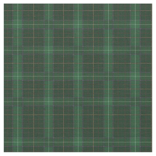 Tartan Clan MacQueen Kariert Pattern Green Karo Stoff (Nahaufnahme)