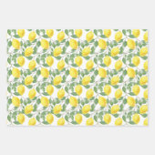 Tartan daisy lemon yellow green set wrapping paper geschenkpapier set (Vorderseite 2)