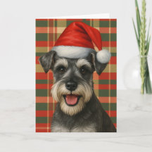 Tartan Miniature Schnauzer Weihnachtskarte