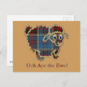 Tartan Schafe "Och Aye the Ewe" Postkarte (Vorne/Hinten)