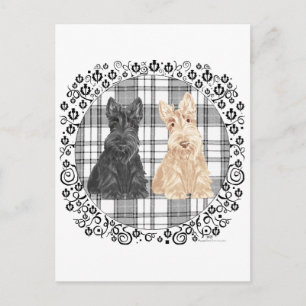 Tartan Scotties Postkarte