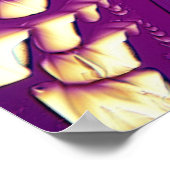 Tartaric Acid Crystals Poster (Ecke)