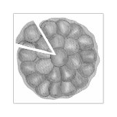 Tarte Tatin French Apple Fruchttorte Pie Pastry Gummistempel (Prägung)