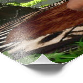 TARZANA SCISSORS LUANA #3 FOTODRUCK (Ecke)