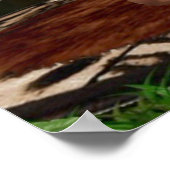 TARZANA SCISSORS LUANA #3 POSTER (Ecke)