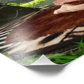 TARZANAS VOLLSTÄNDIGER NELSON FOTODRUCK (Ecke)