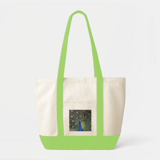 Tasche (Vorne)