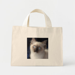 Tasche