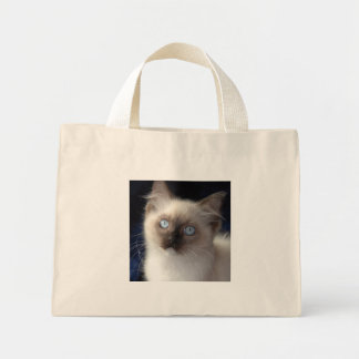 Tasche