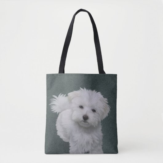 Tasche (Vorderseite)