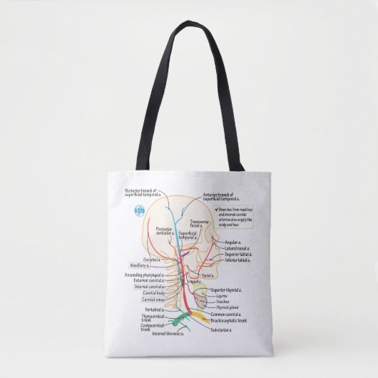 Tasche des Leiters und des Nackens (Vorderseite)