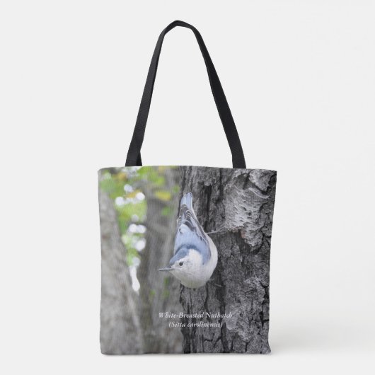 Tasche des Weißbruchs  (Rückseite)