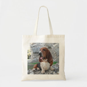 Tasche mit Basset Hound Schlossruine Besuch