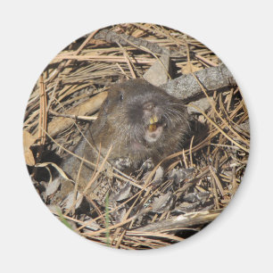 Taschen-Gopher Magnet