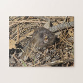 Taschen-Gopher Puzzle (Horizontal)