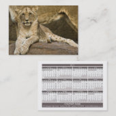 Taschen-Kalender Löwe-CUBs 2011 (Großbritannien) Visitenkarte (Vorne/Hinten)